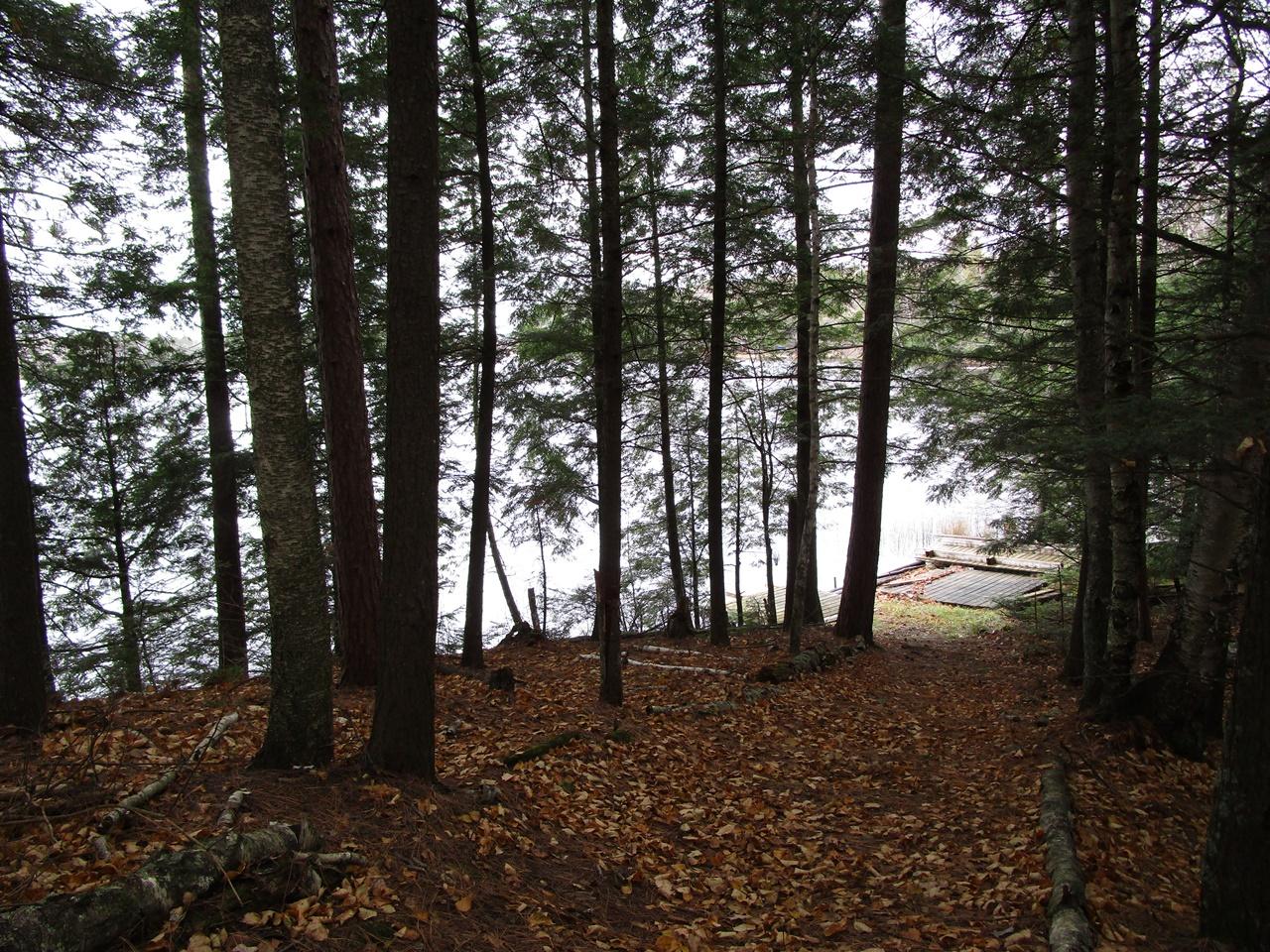 1355 Bell Road Park Falls, WI 54552 - Photo 60 of 70 Gallery Image 60