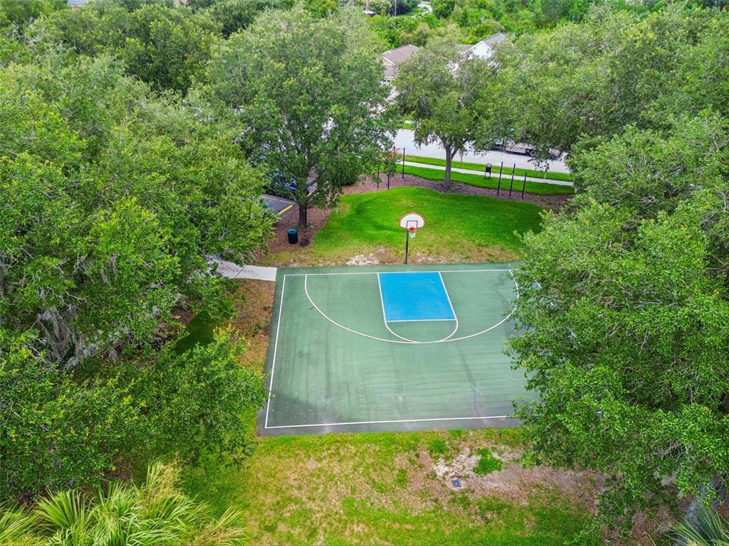 32323 Fish Hook Loop Wesley Chapel, FL 33545 - Photo 66 of 76