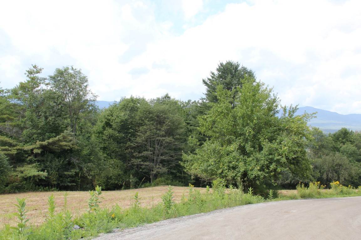 Tr30.9 Gould Hill Road Worcester, VT 05682 - Photo 11 of 11