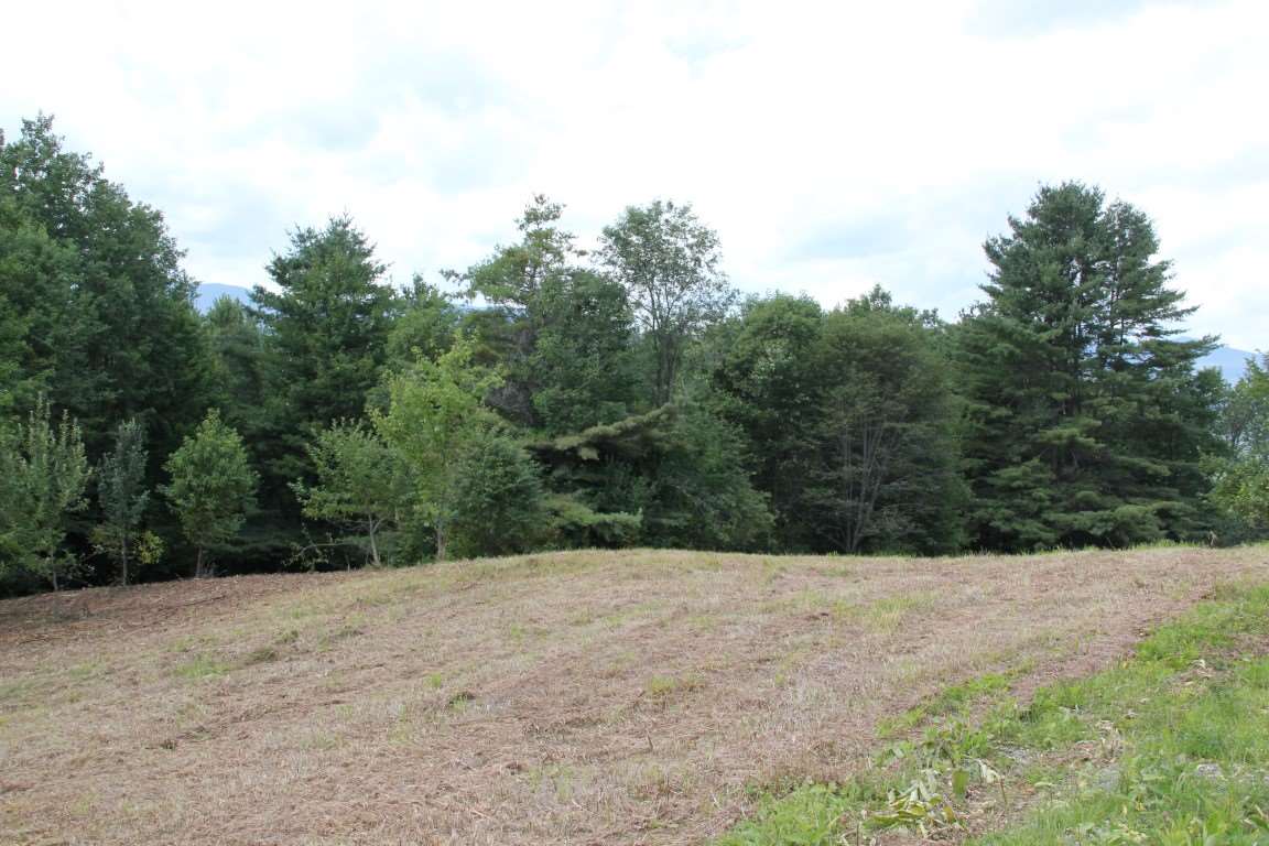 Tr30.9 Gould Hill Road Worcester, VT 05682 - Photo 3 of 11