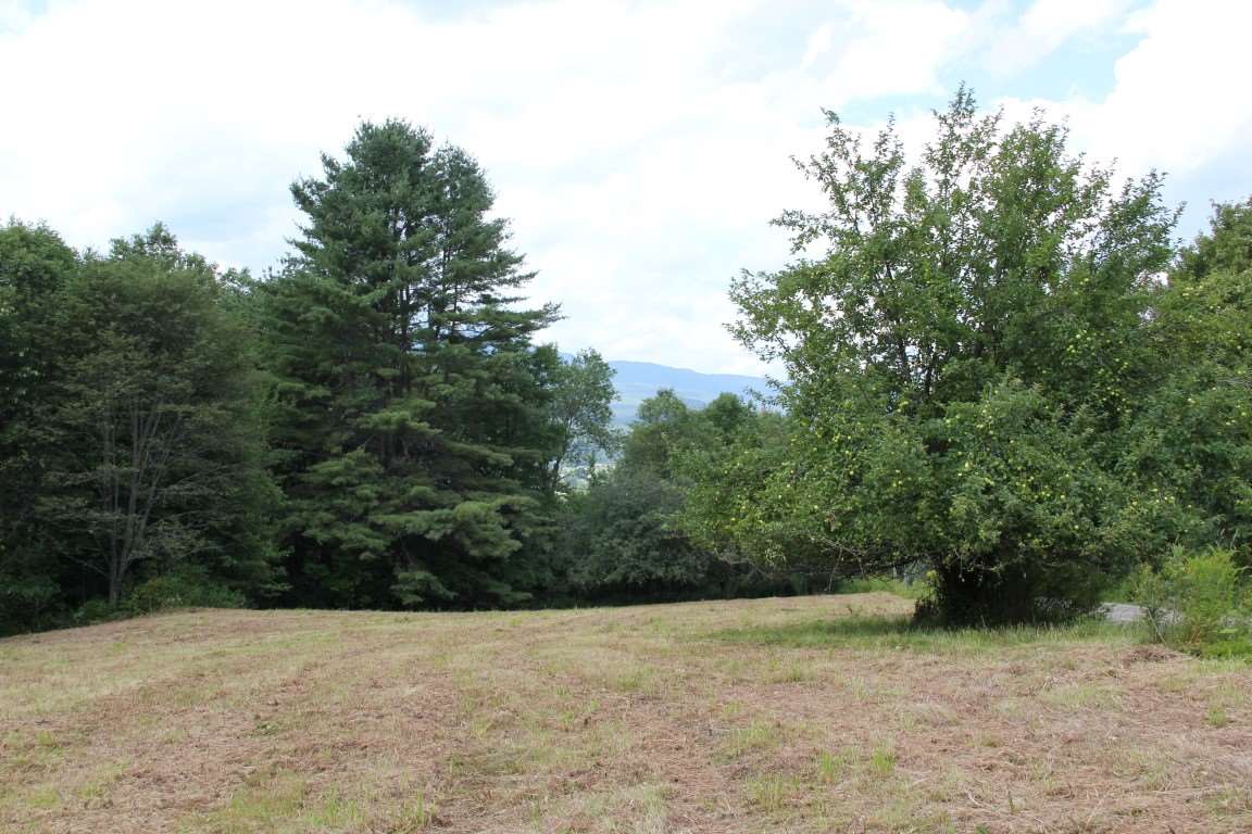 Tr30.9 Gould Hill Road Worcester, VT 05682 - Photo 5 of 11