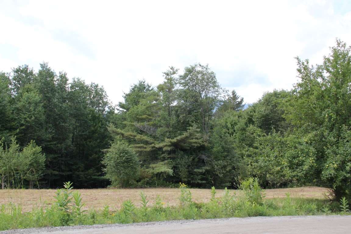 Tr30.9 Gould Hill Road Worcester, VT 05682 - Photo 8 of 11