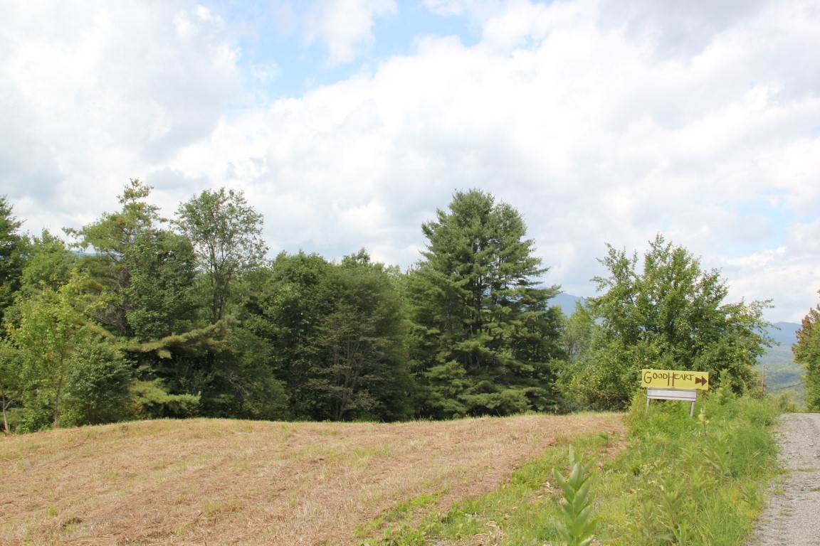 Tr30.9 Gould Hill Road Worcester, VT 05682 - Photo 10 of 11