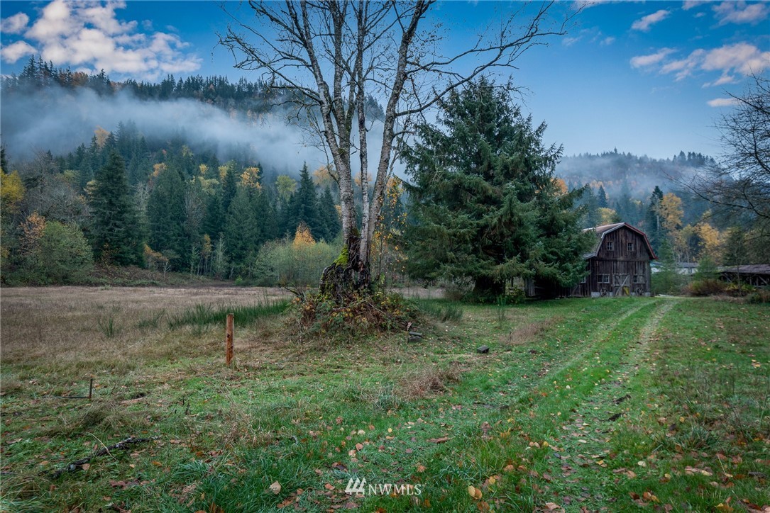 6130 North Fork Road Deming, WA 98244 - Photo 5 of 22 a view of a backyard