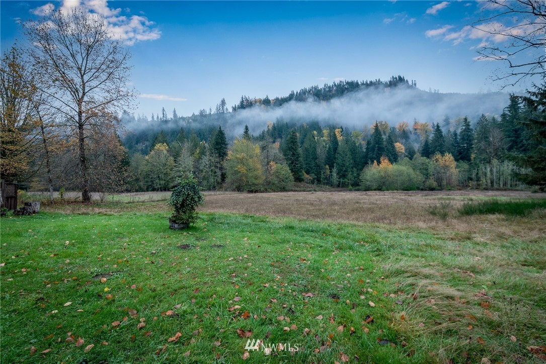 6130 North Fork Road Deming, WA 98244 - Photo 7 of 22 a view of a backyard