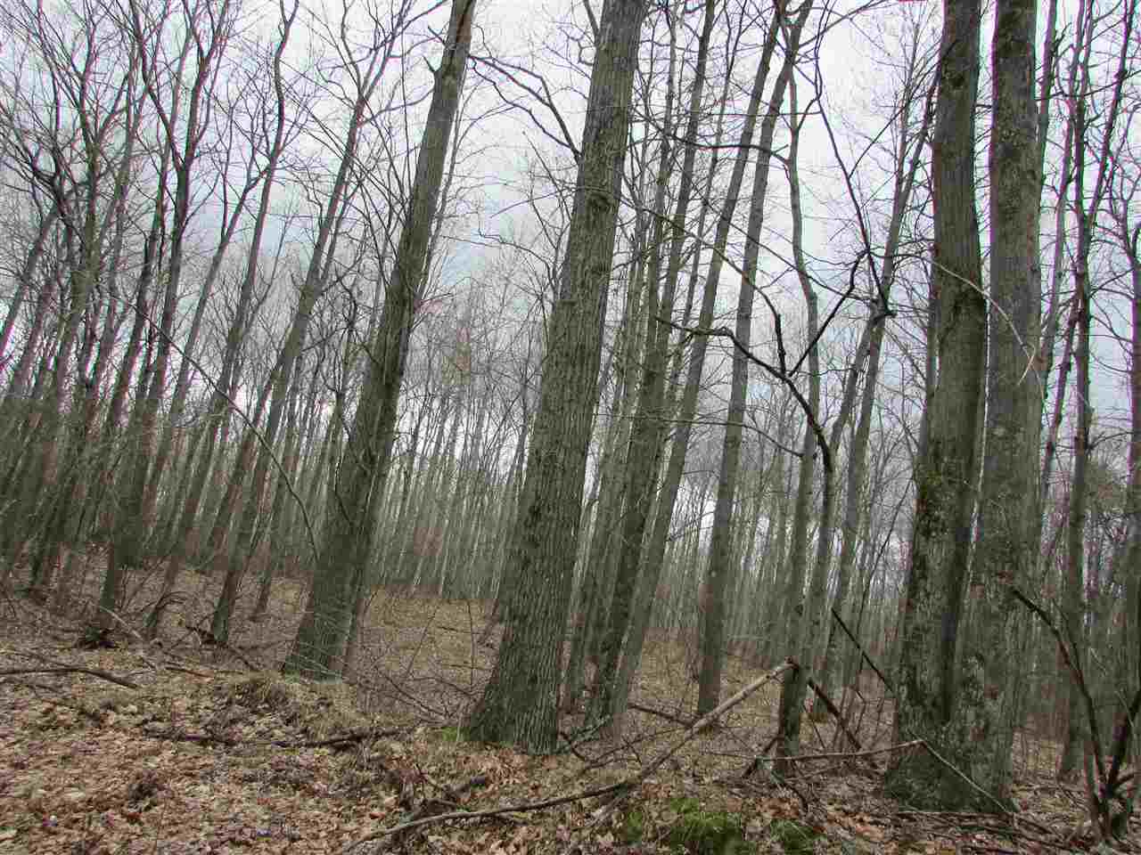 2 East Townline Lake Road Harrison, MI 48625 - Photo 8 of 13