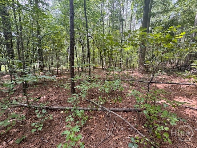 0 West W Highway Colbert, GA 30628 - Photo 8 of 10 Gallery Image 8