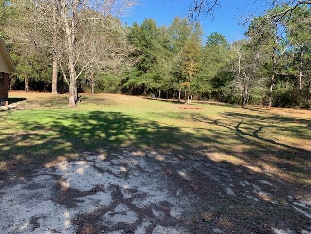 5735 Wildwood Road Crestview, FL 32536 - Photo 15 of 17 5735 WW yard