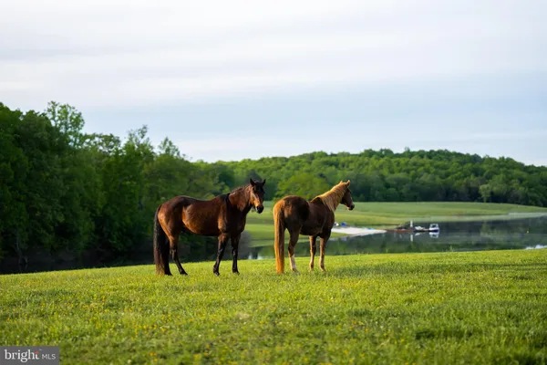 a view of swimming pool with outdoor seating