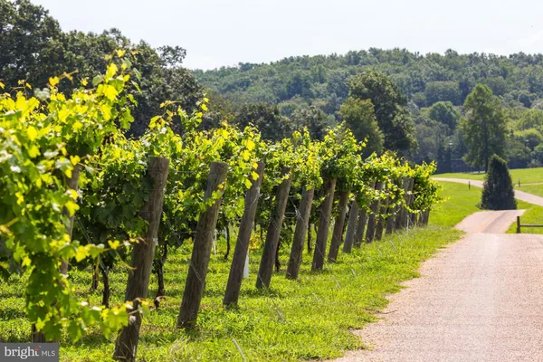 a view of a lake with a houses
