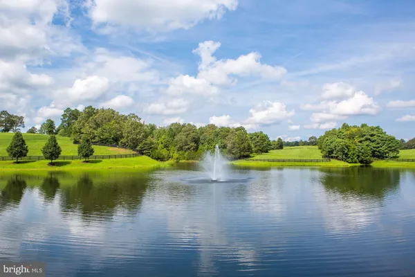 a view of a lake from a yard