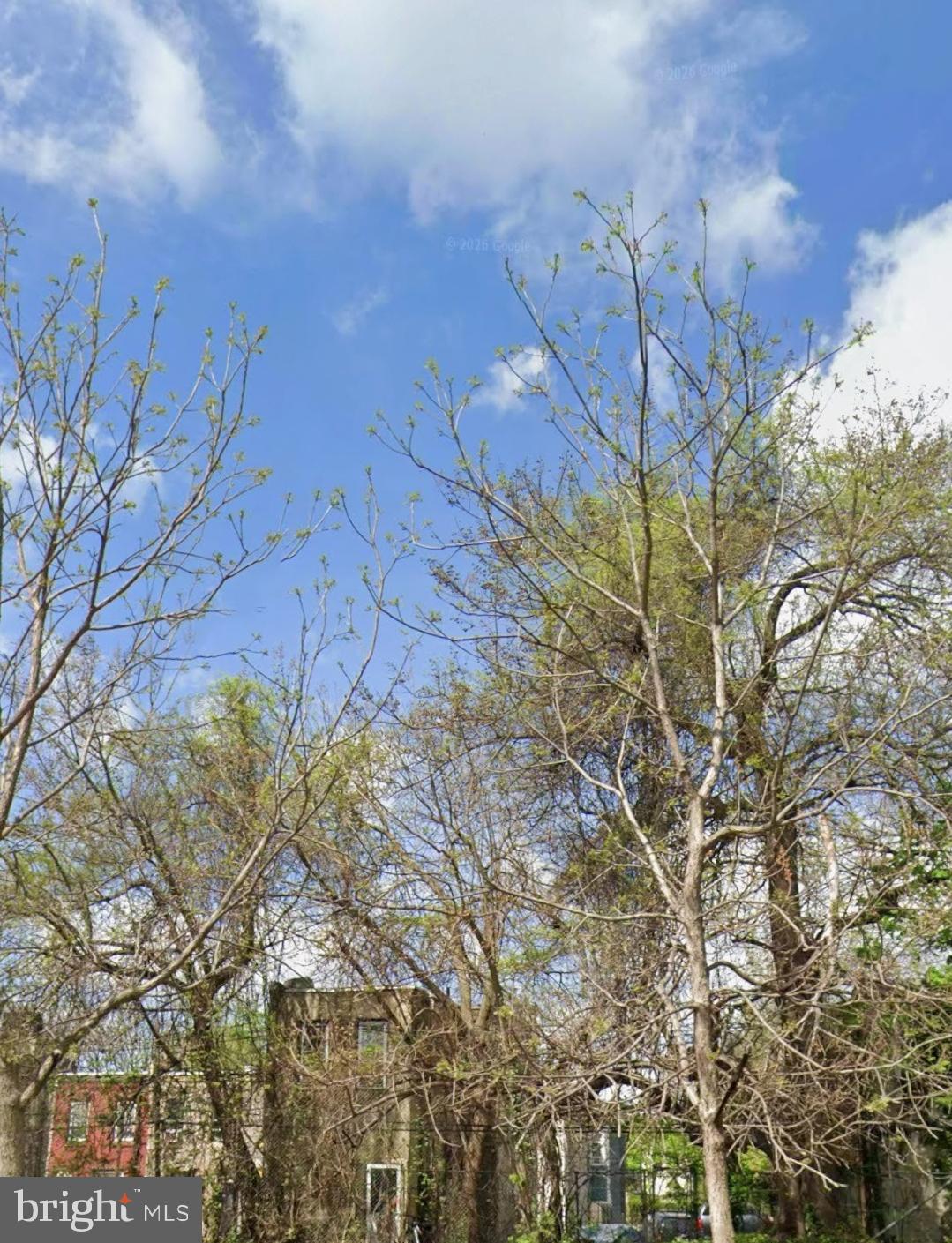 2352 North 19th Street Philadelphia, PA 19132 - Photo 1 of 1 a view of a yard with plants and trees