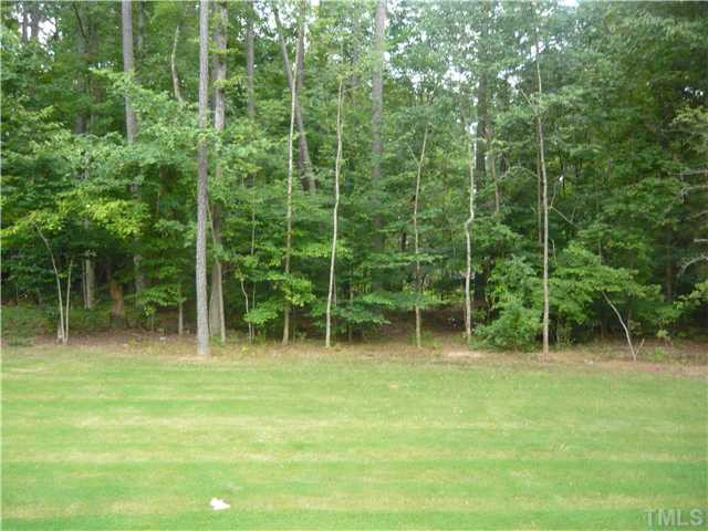 1528 Sedwick Road Durham, NC 27713 - Photo 18 of 18 Back Yard