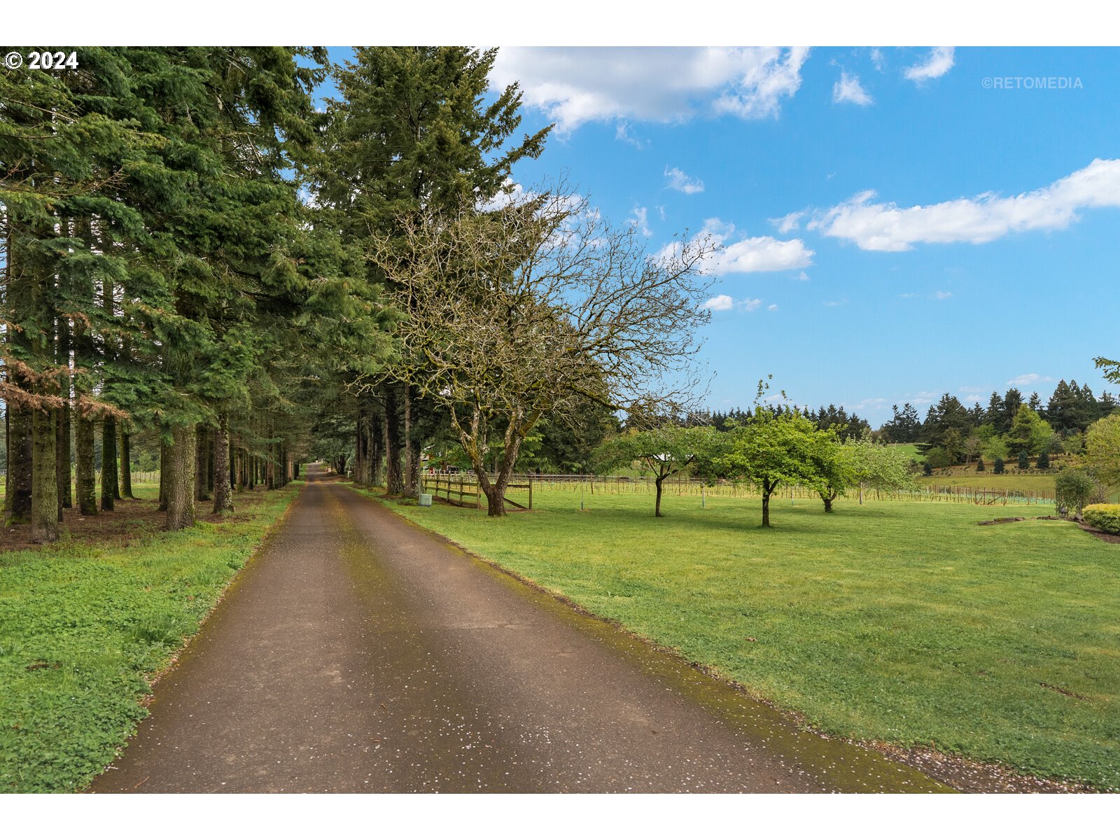 27025 Southwest Ladd Hill Road Sherwood, OR 97140 - Photo 29 of 48 Gallery Image 29