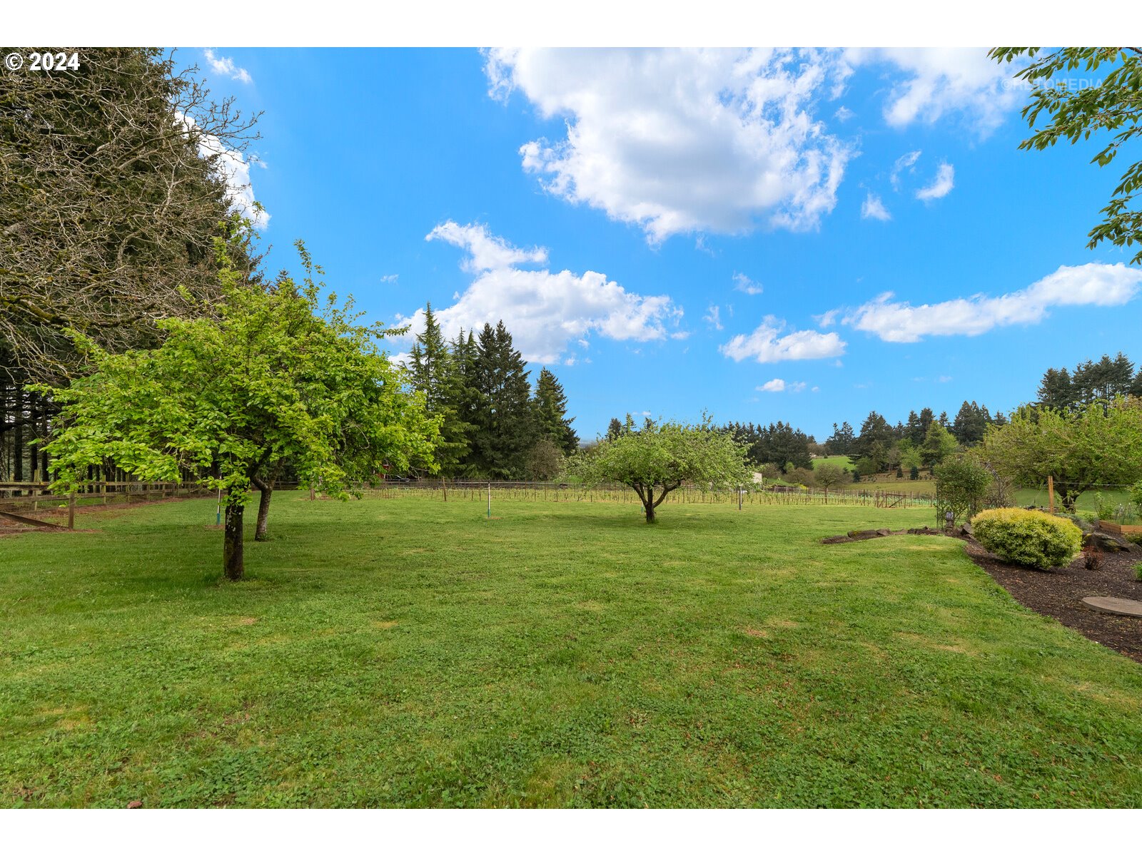 27025 Southwest Ladd Hill Road Sherwood, OR 97140 - Photo 30 of 48 Gallery Image 30