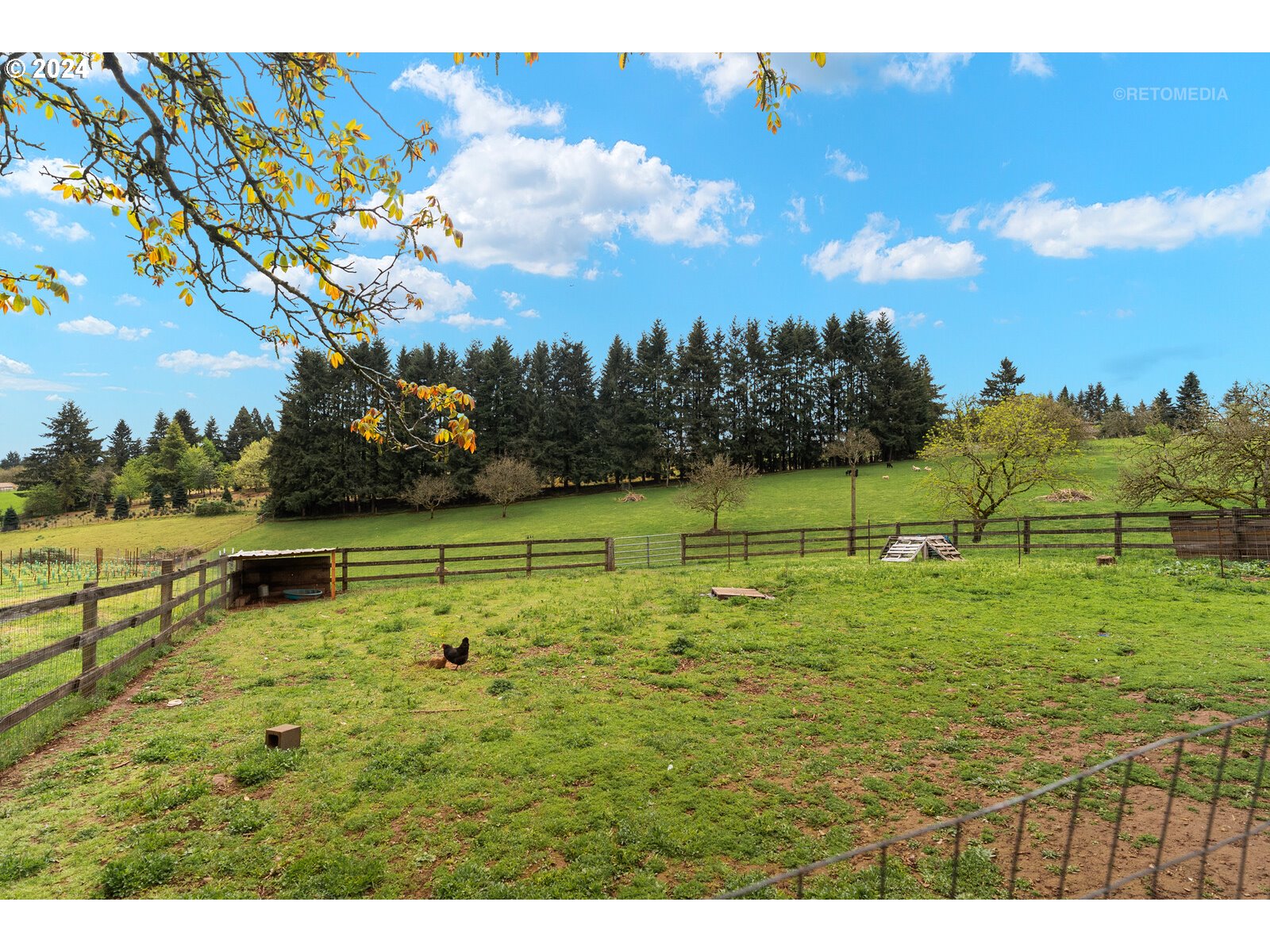 27025 Southwest Ladd Hill Road Sherwood, OR 97140 - Photo 37 of 48 Gallery Image 37