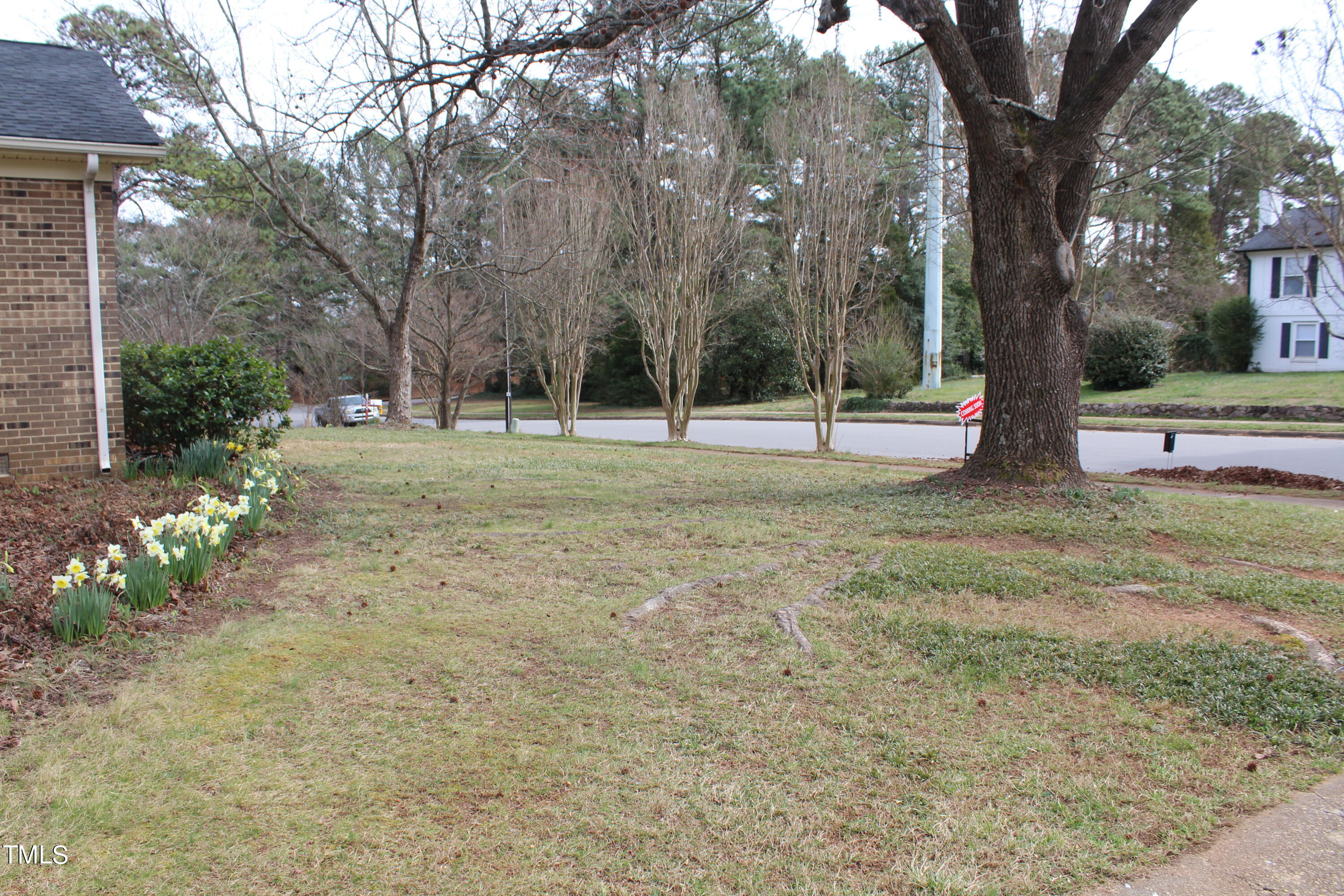 3508 Morningside Drive Raleigh, NC 27607 - Photo 5 of 58 a view of a backyard with large trees