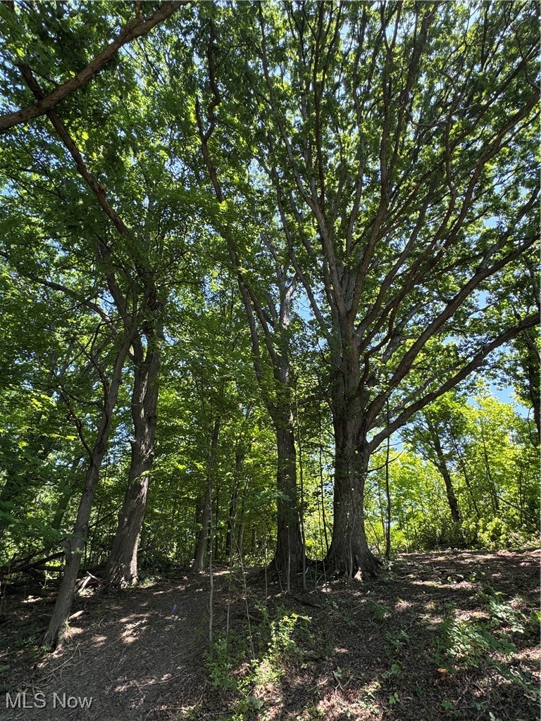 1 Wood Road Madison, OH 44057 - Photo 6 of 8