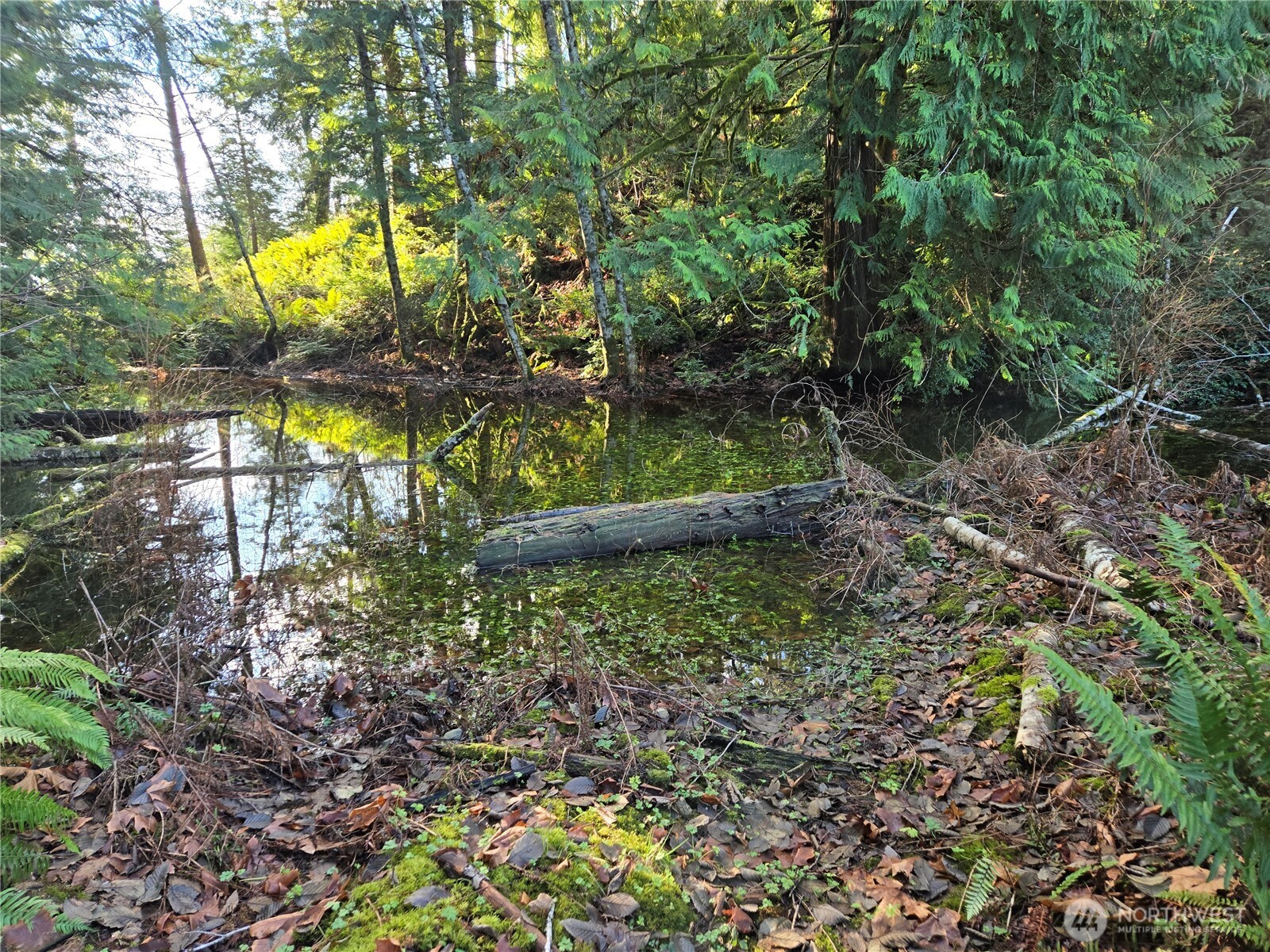 2-xxx Sand Dollar Road West Bremerton, WA 98312 - Photo 13 of 29 a view of yard