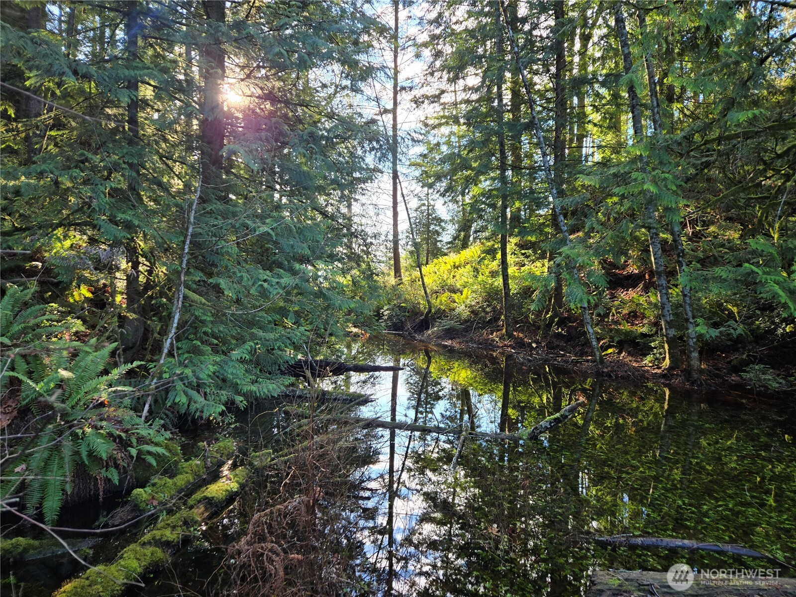 2-xxx Sand Dollar Road West Bremerton, WA 98312 - Photo 14 of 29 a view of a park