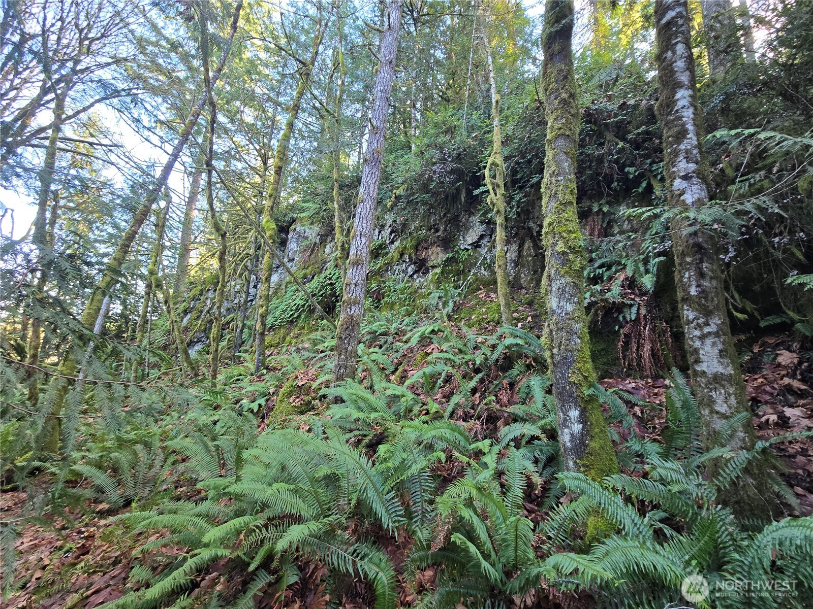 2-xxx Sand Dollar Road West Bremerton, WA 98312 - Photo 15 of 29 an aerial view of residential house with outdoor space and trees all around