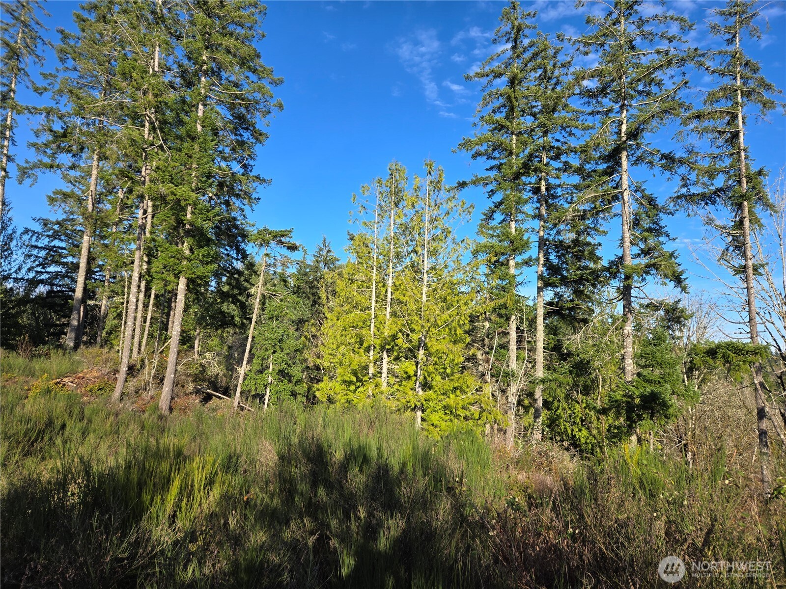 2-xxx Sand Dollar Road West Bremerton, WA 98312 - Photo 19 of 29 a view of a garden