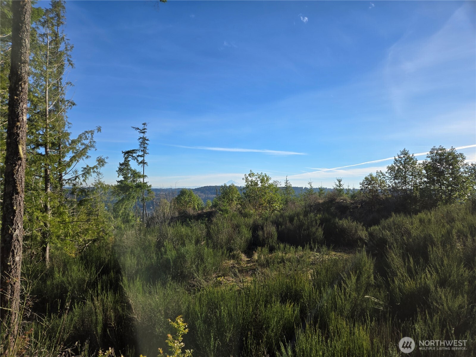 2-xxx Sand Dollar Road West Bremerton, WA 98312 - Photo 20 of 29 a view of a city and lush green forest
