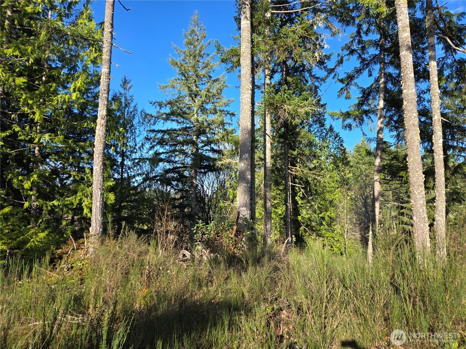 2-xxx Sand Dollar Road West Bremerton, WA 98312 - Photo 23 of 29 a view of a garden
