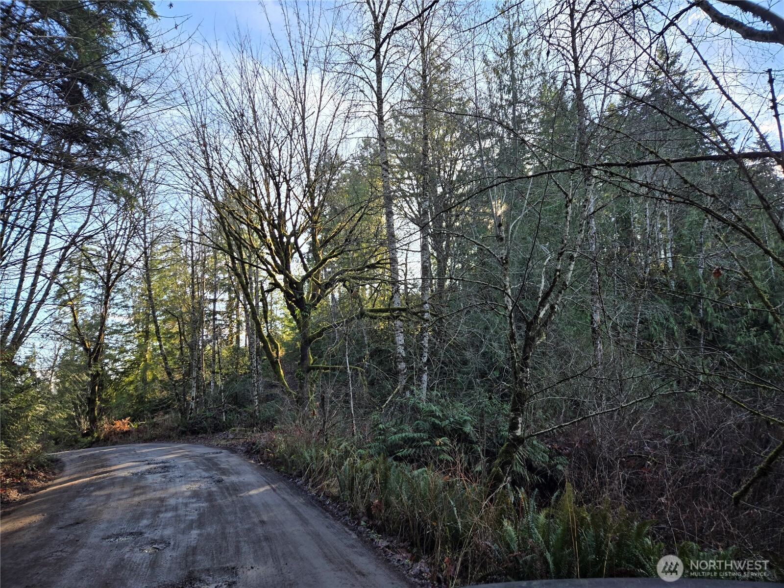 2-xxx Sand Dollar Road West Bremerton, WA 98312 - Photo 5 of 29 a view of a yard with large trees