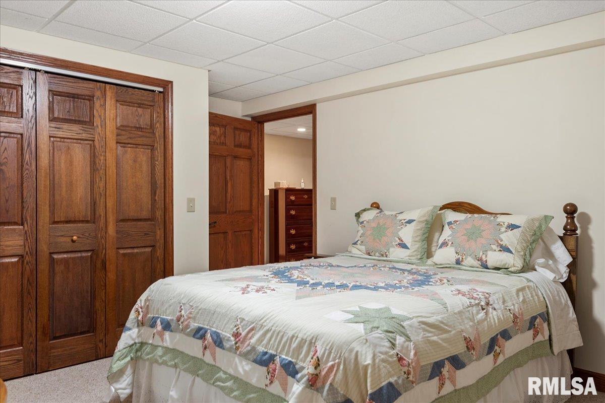 6 Briarwood Lane Rochester, IL 62563 - Photo 54 of 69 Gallery Image 54