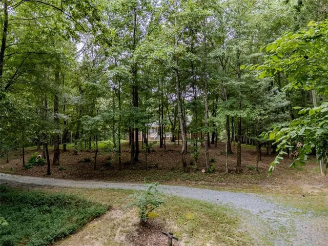 a view of backyard with green space