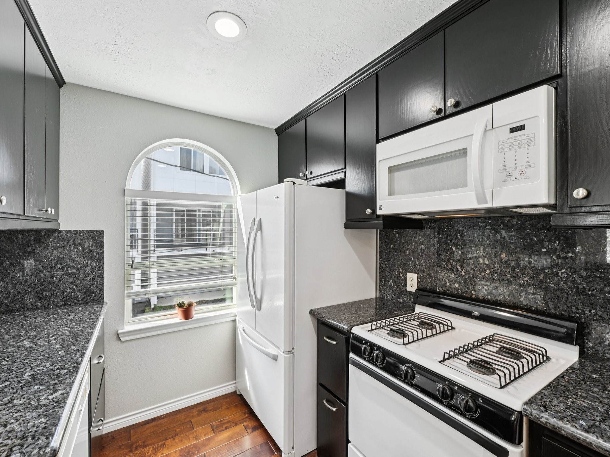 1405 Bailey Street Houston, TX 77019 - Photo 16 of 26 A closer look at the appliances.