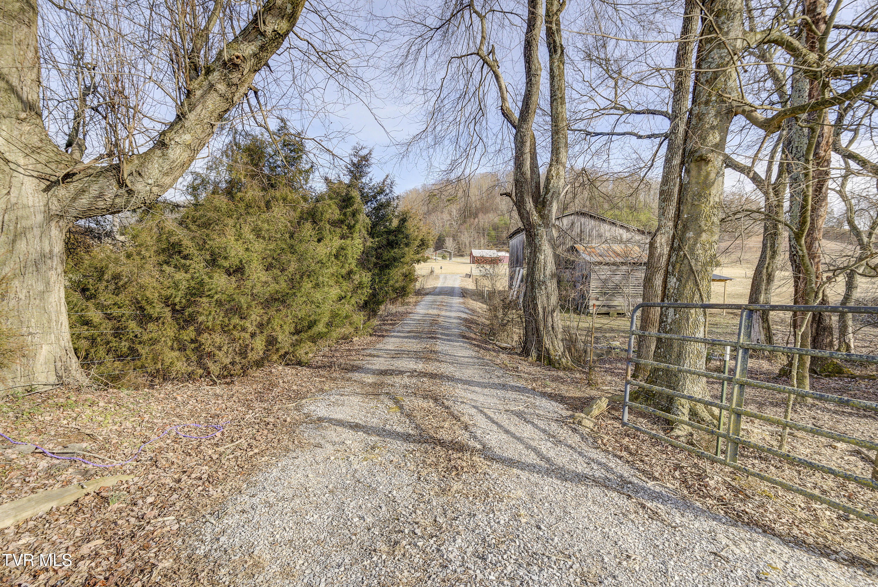 157 Big Sandy Road Telford, TN 37690 - Photo 17 of 49 BigSandy-19