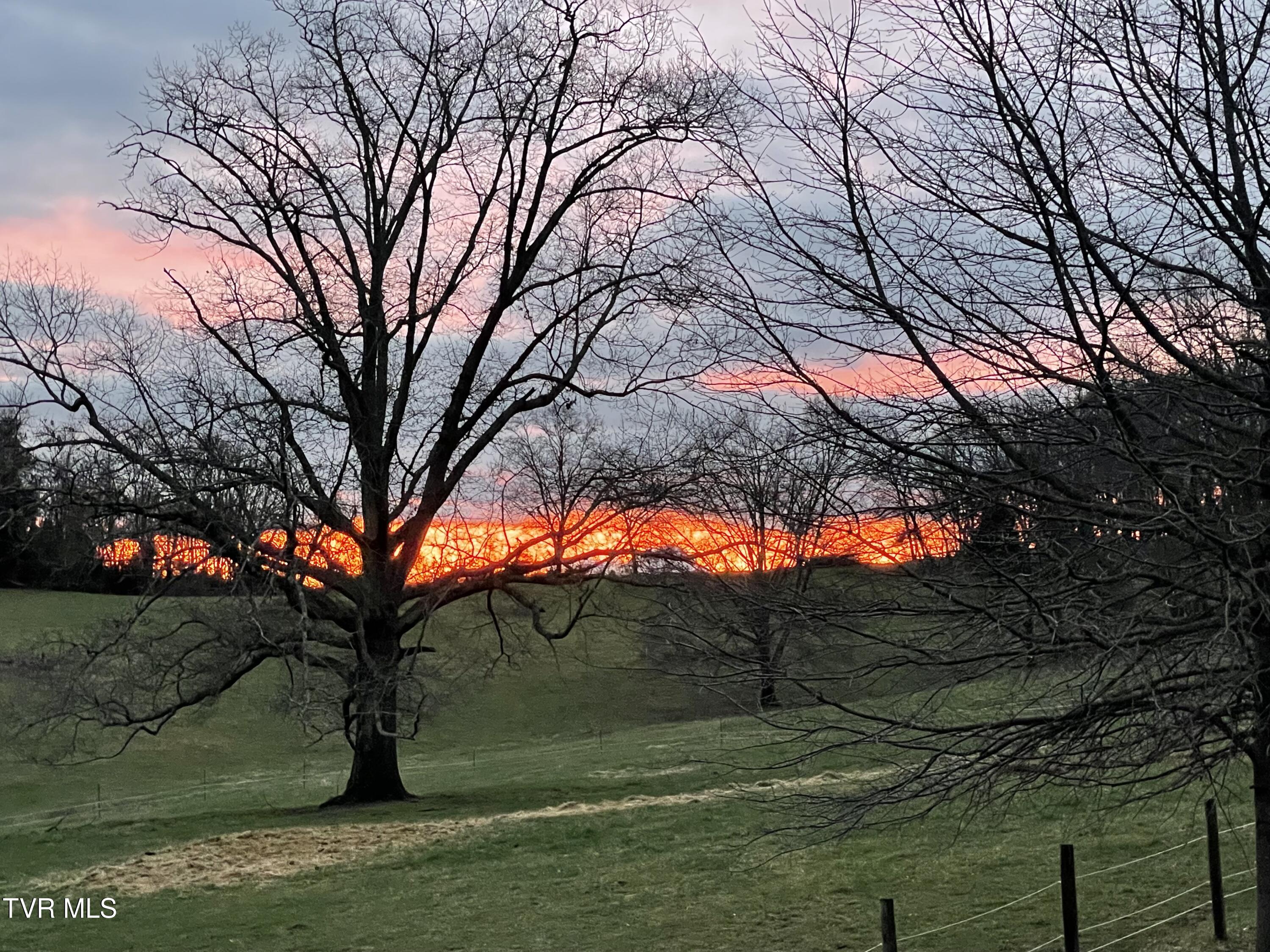 157 Big Sandy Road Telford, TN 37690 - Photo 50 of 53 8E2A7803-F68C-43BB-BBE4-C85C420D8FCF