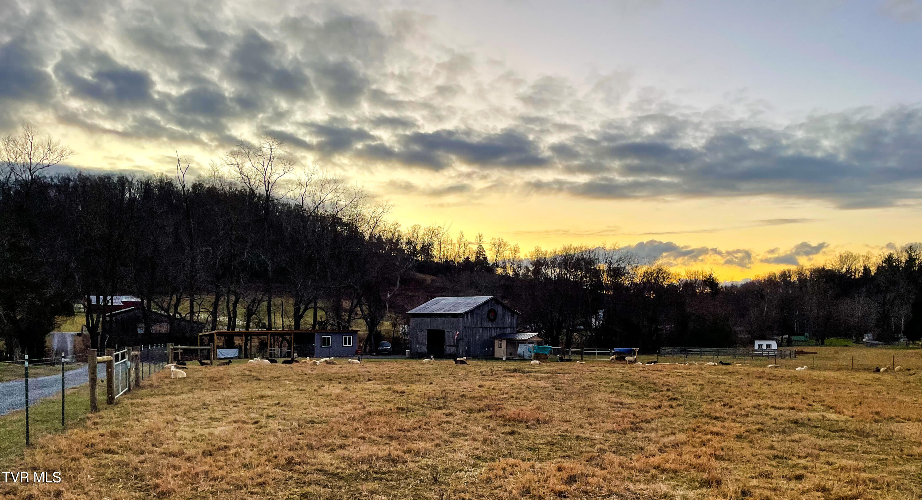 157 Big Sandy Road Telford, TN 37690 - Photo 52 of 53 IMG_3315