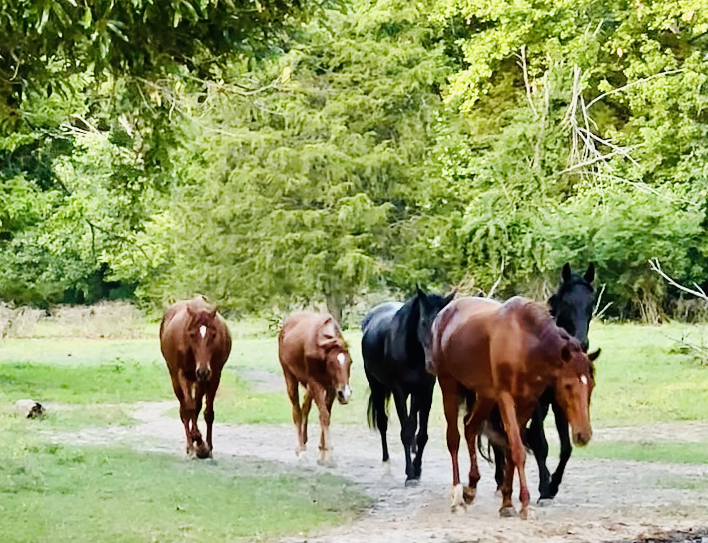 4996 Andrew Road Marion, IL 62959 - Photo 75 of 85