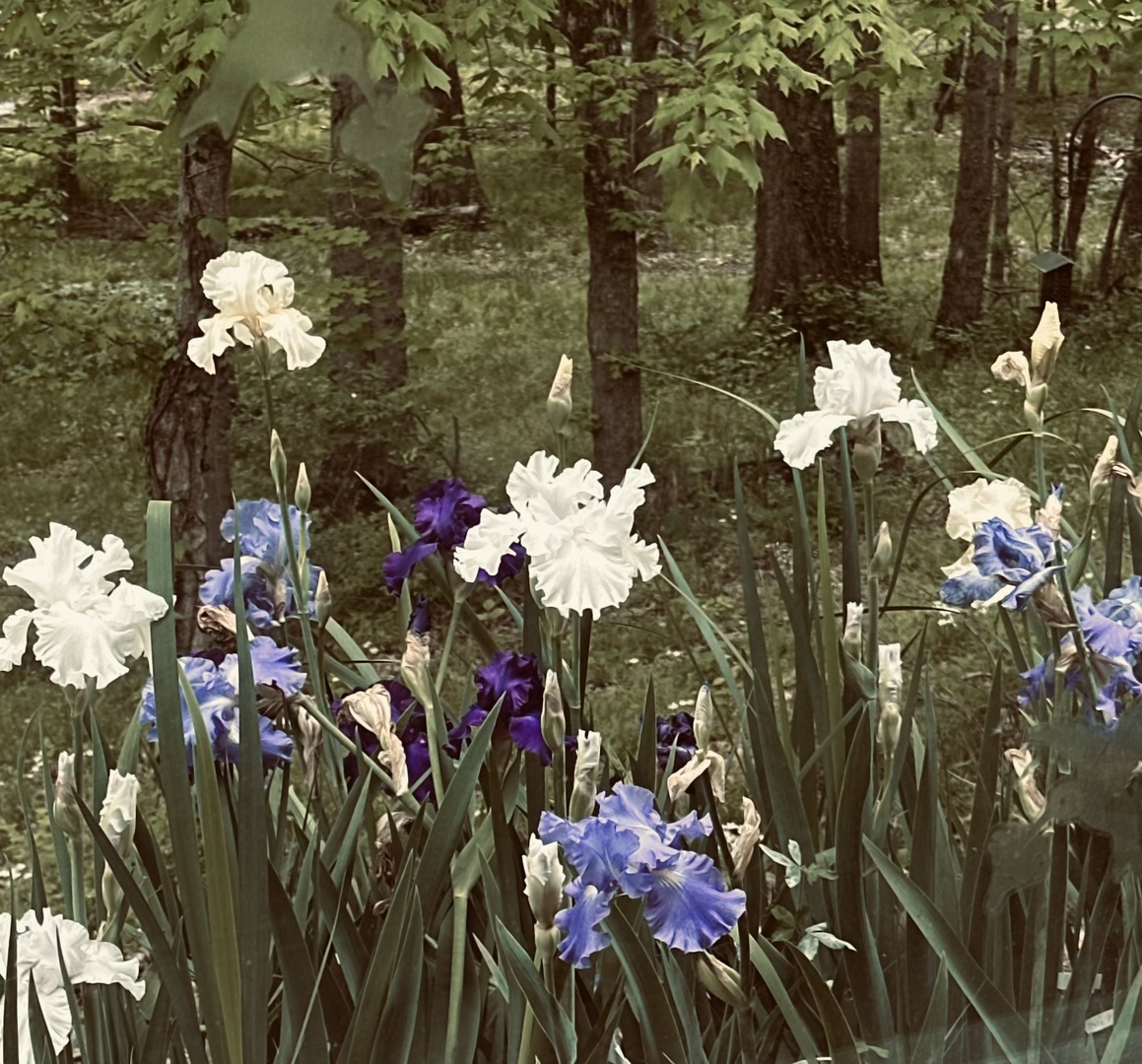 4996 Andrew Road Marion, IL 62959 - Photo 77 of 85