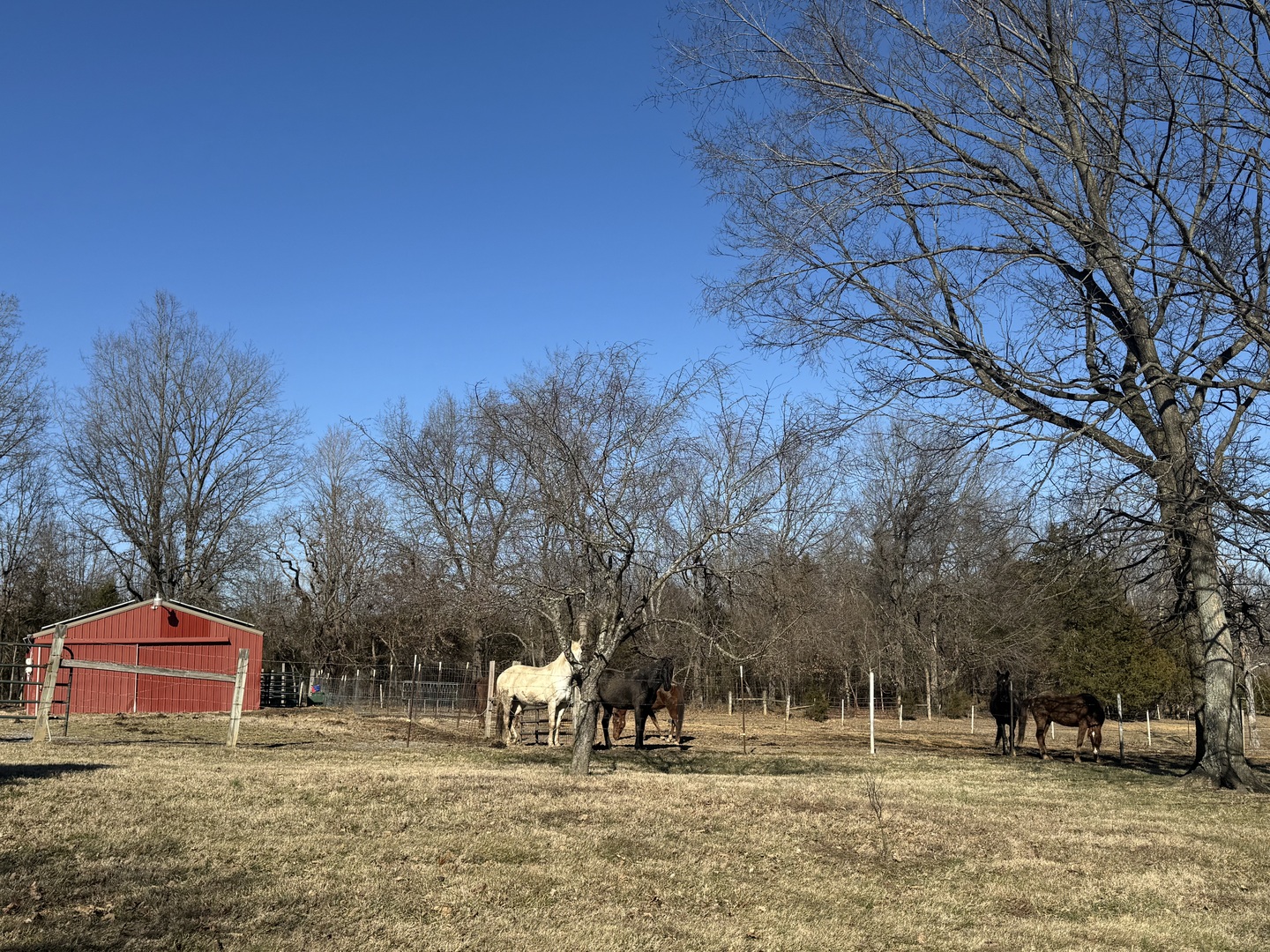 4996 Andrew Road Marion, IL 62959 - Photo 79 of 85 a front view of a house with a yard