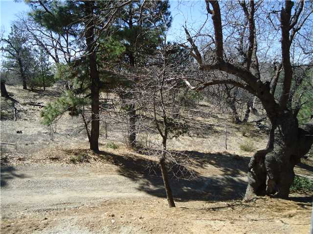 797 Boiling Springs Road Mount Laguna, CA 91948 - Photo 17 of 19 Gallery Image 17