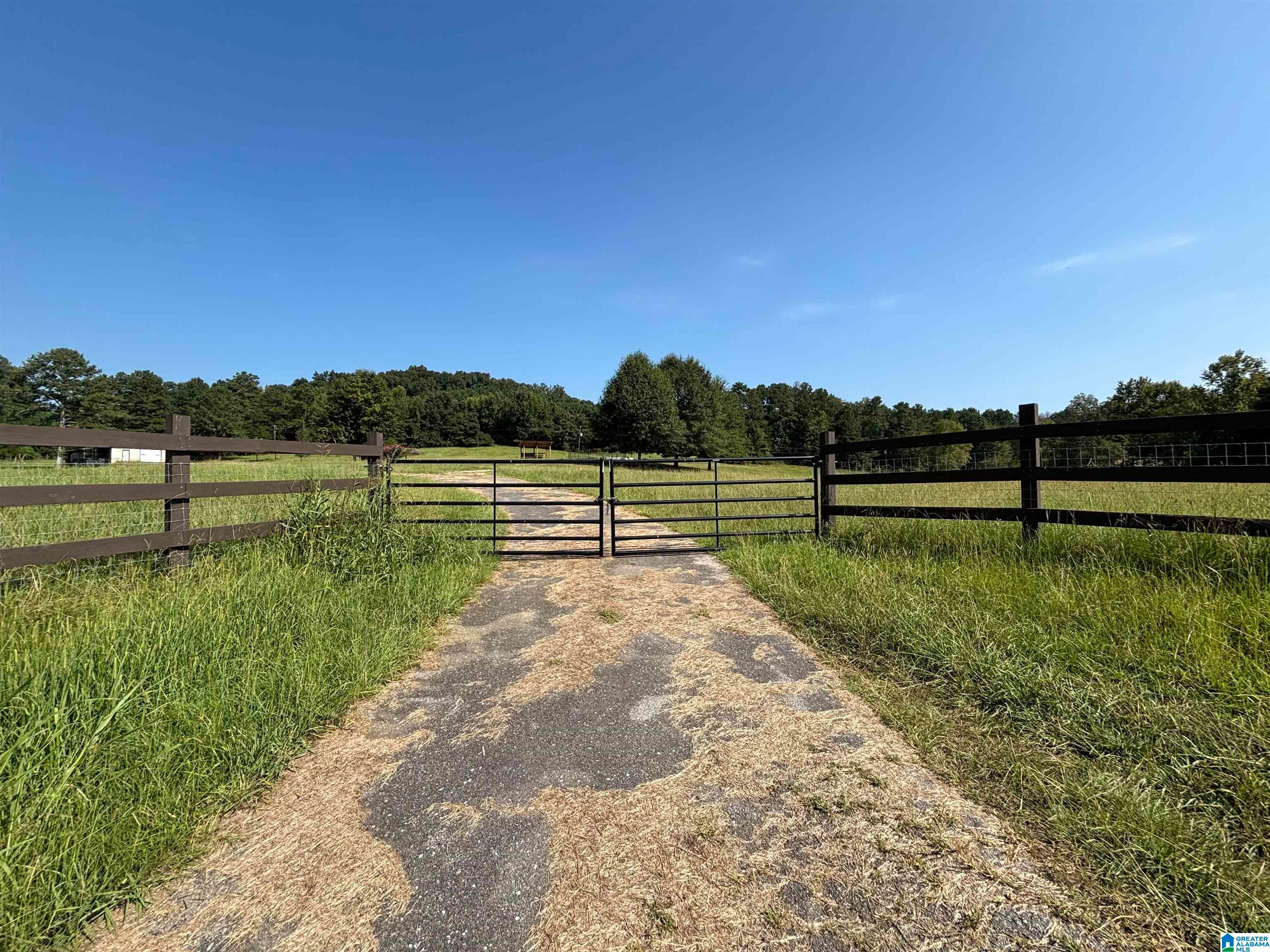 551 Burtram Road Springville, AL 35146 - Photo 21 of 34 Gallery Image 21