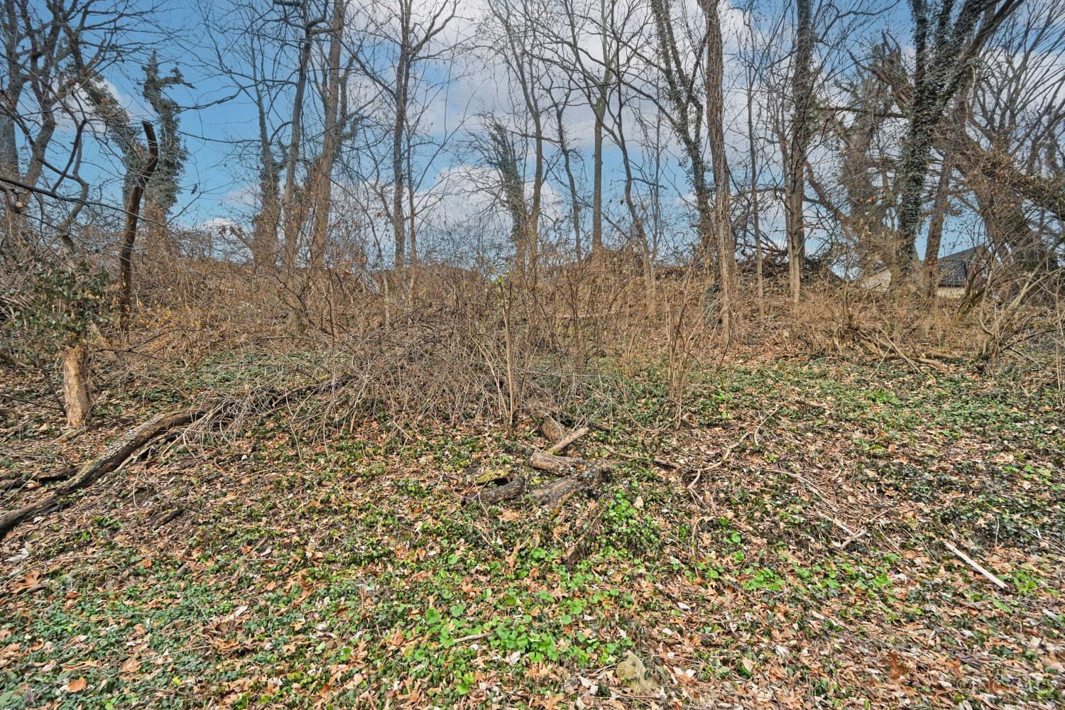 2037 Duck Creek Road Cincinnati, OH 45207 - Photo 39 of 40