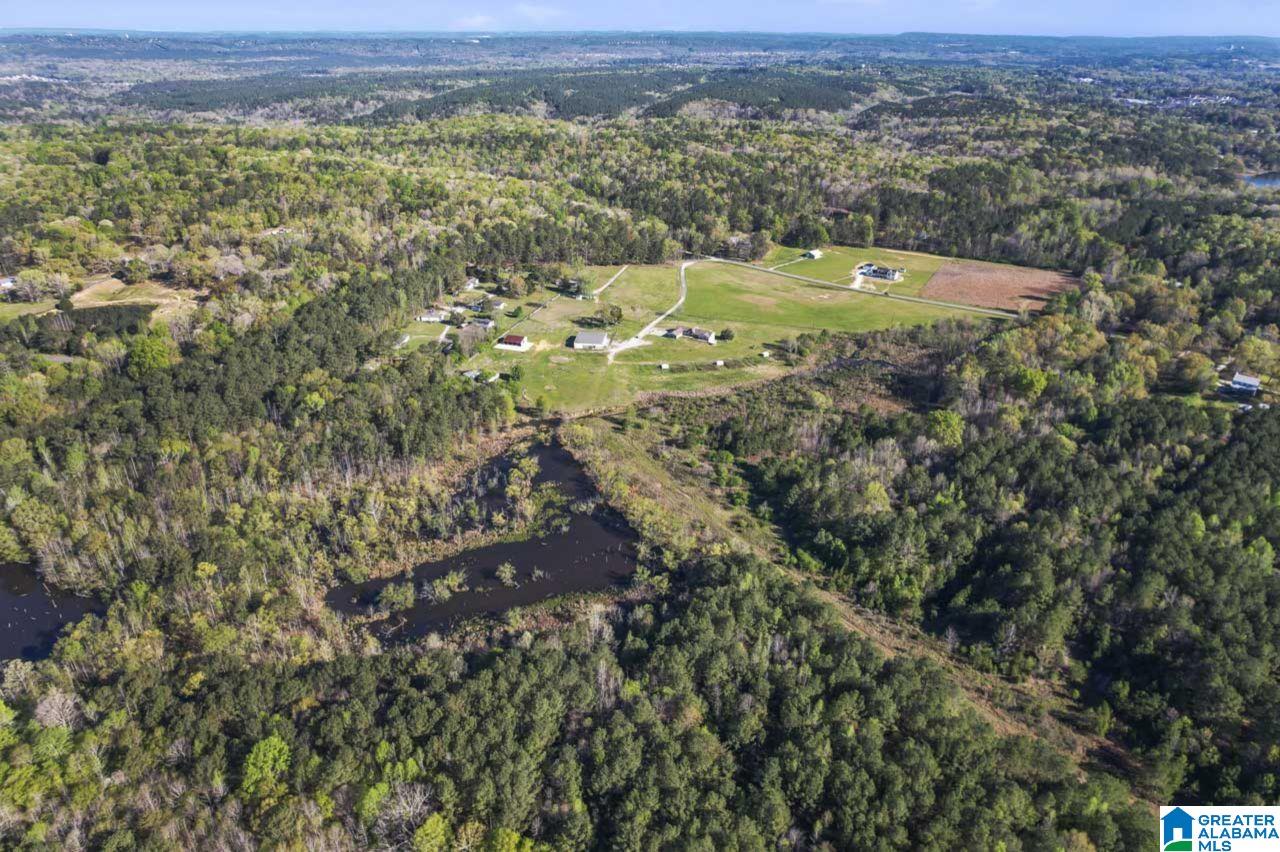 535 Fox Valley Farms Road Alabaster, AL 35114 - Photo 29 of 52
