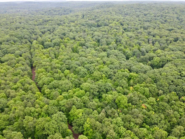 $132,000 | Lot 3 Crane Foot Lake Road, Gleason, WI 54435