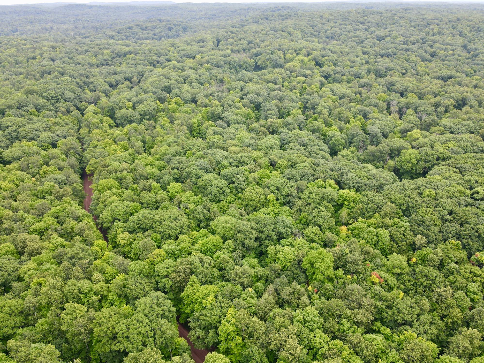 Lot 3 Crane Foot Lake Road Gleason, WI 54435 - Photo 1 of 8 Gallery Image 1