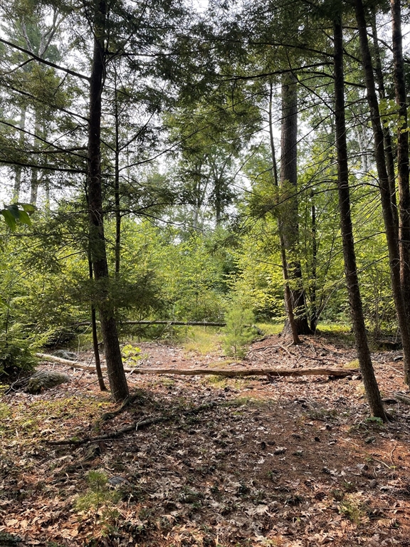 Back Lot 0 Back Road Hardwick, MA 01037 - Photo 3 of 3 a view of a yard