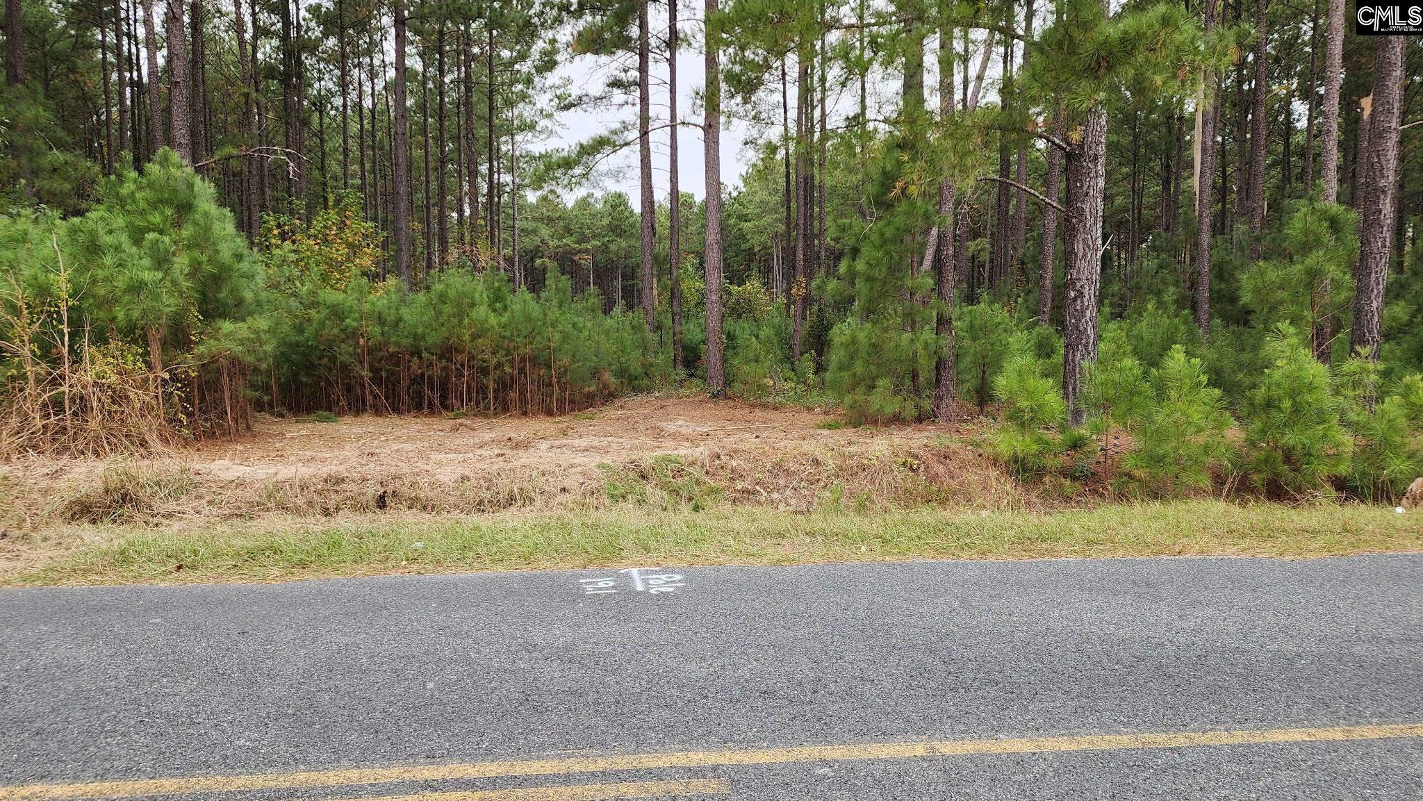 657 Old Field Road Leesville, SC 29070 - Photo 1 of 5