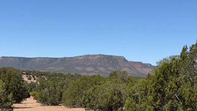 B55 Ribera Nm 87565 Ribera, NM 87560 - Photo 8 of 27