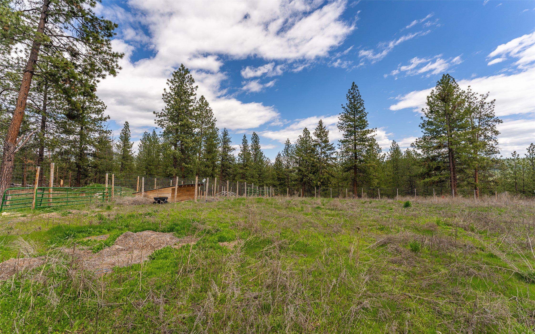 3185 Hubbart Dam Road Marion, MT 59925 - Photo 23 of 105 Gallery Image 23