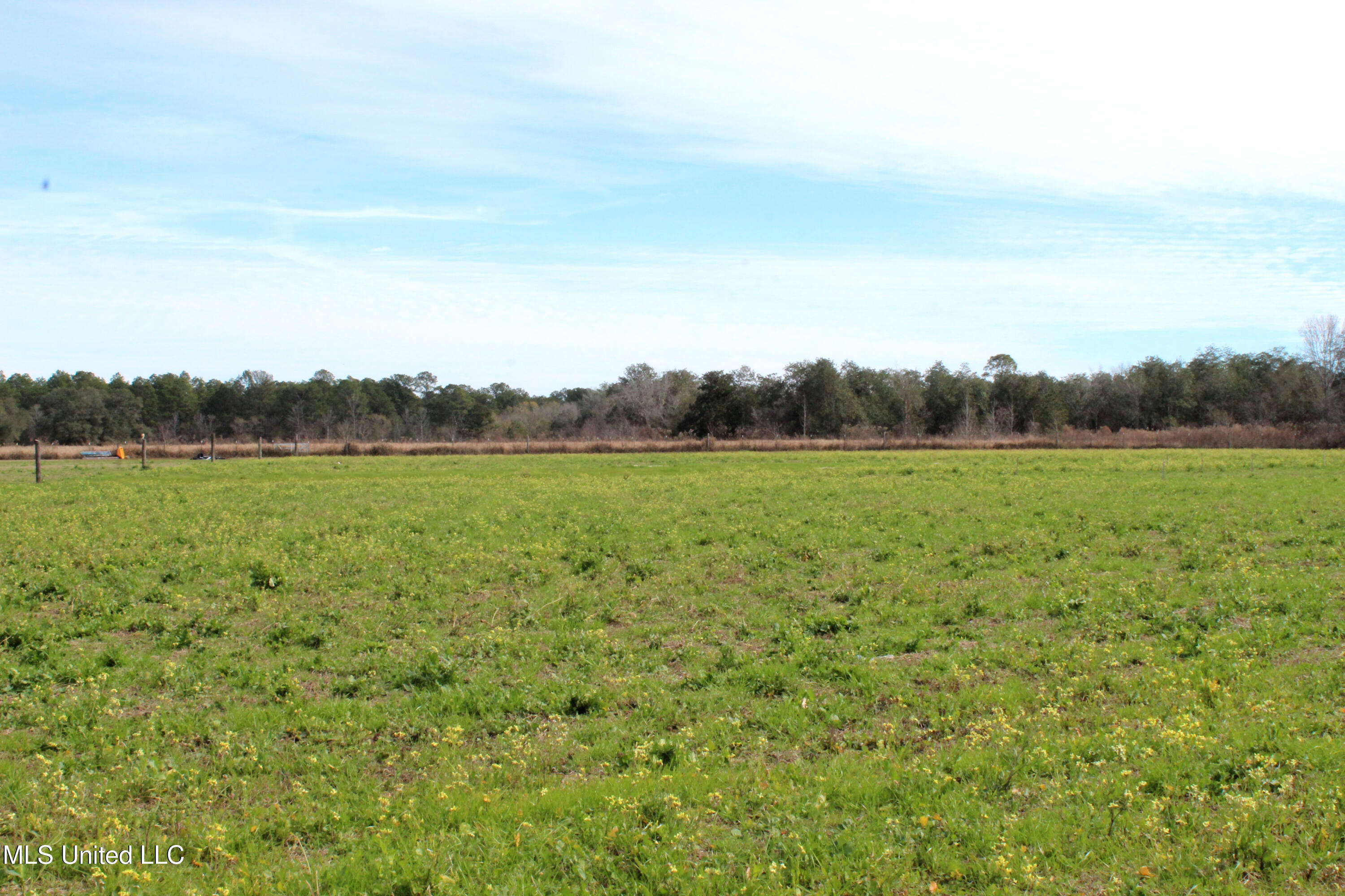 Yellow Bluff Road Lucedale, MS 39452 - Photo 1 of 3 Property