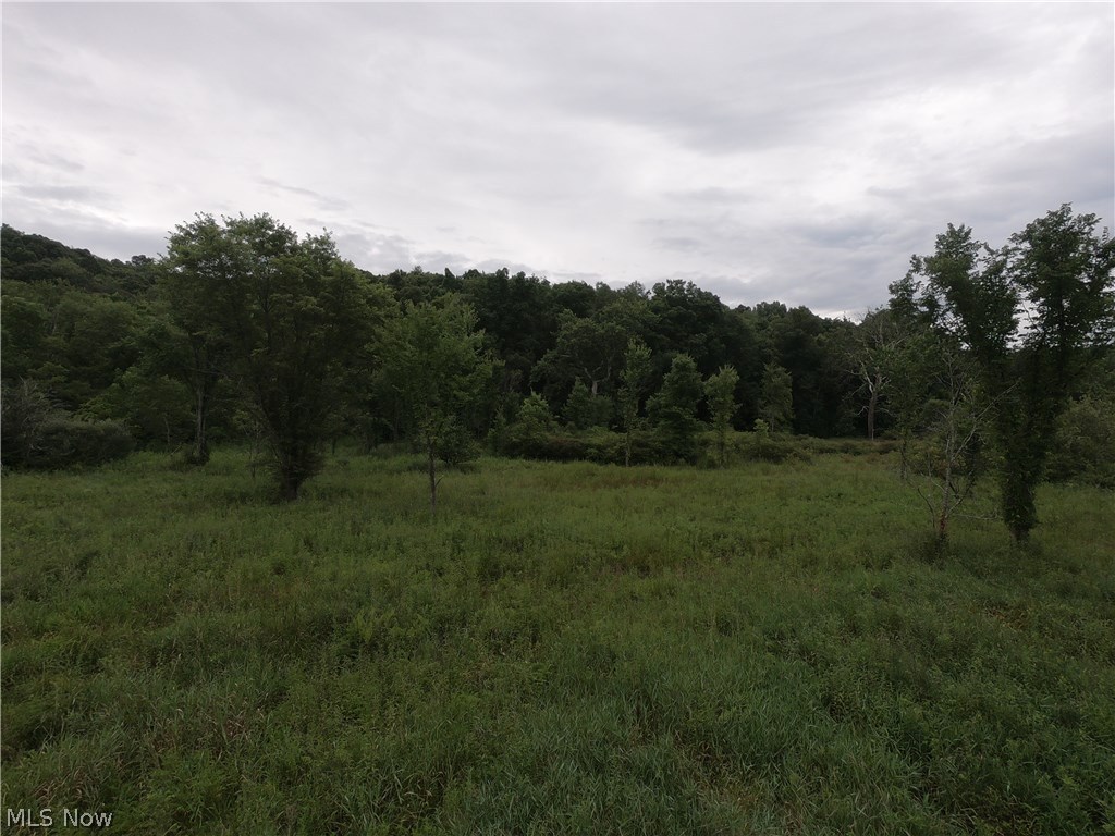 87605 Beaver Dam Road Scio, OH 43988 - Photo 13 of 21 Gallery Image 13
